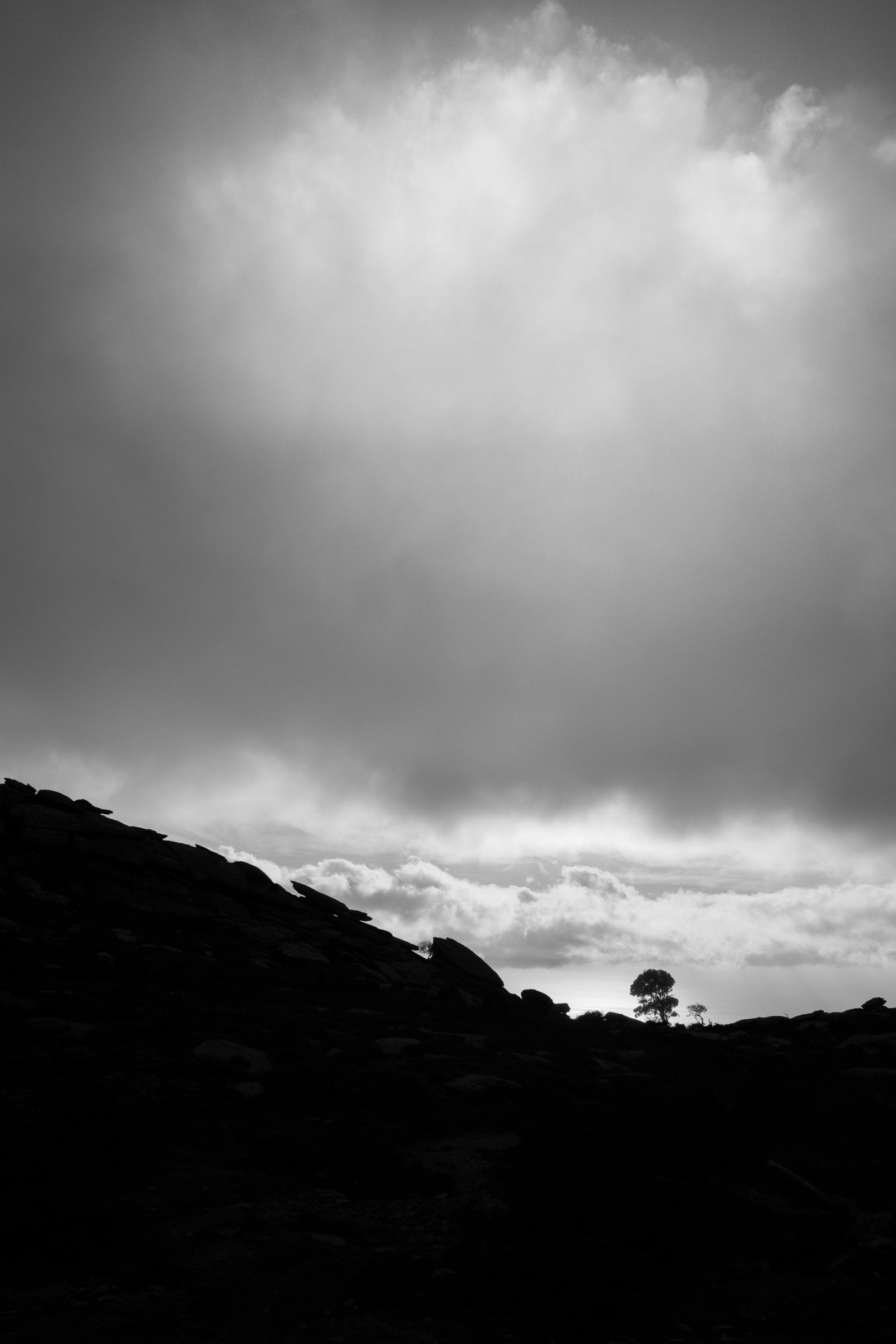 Photograph 8