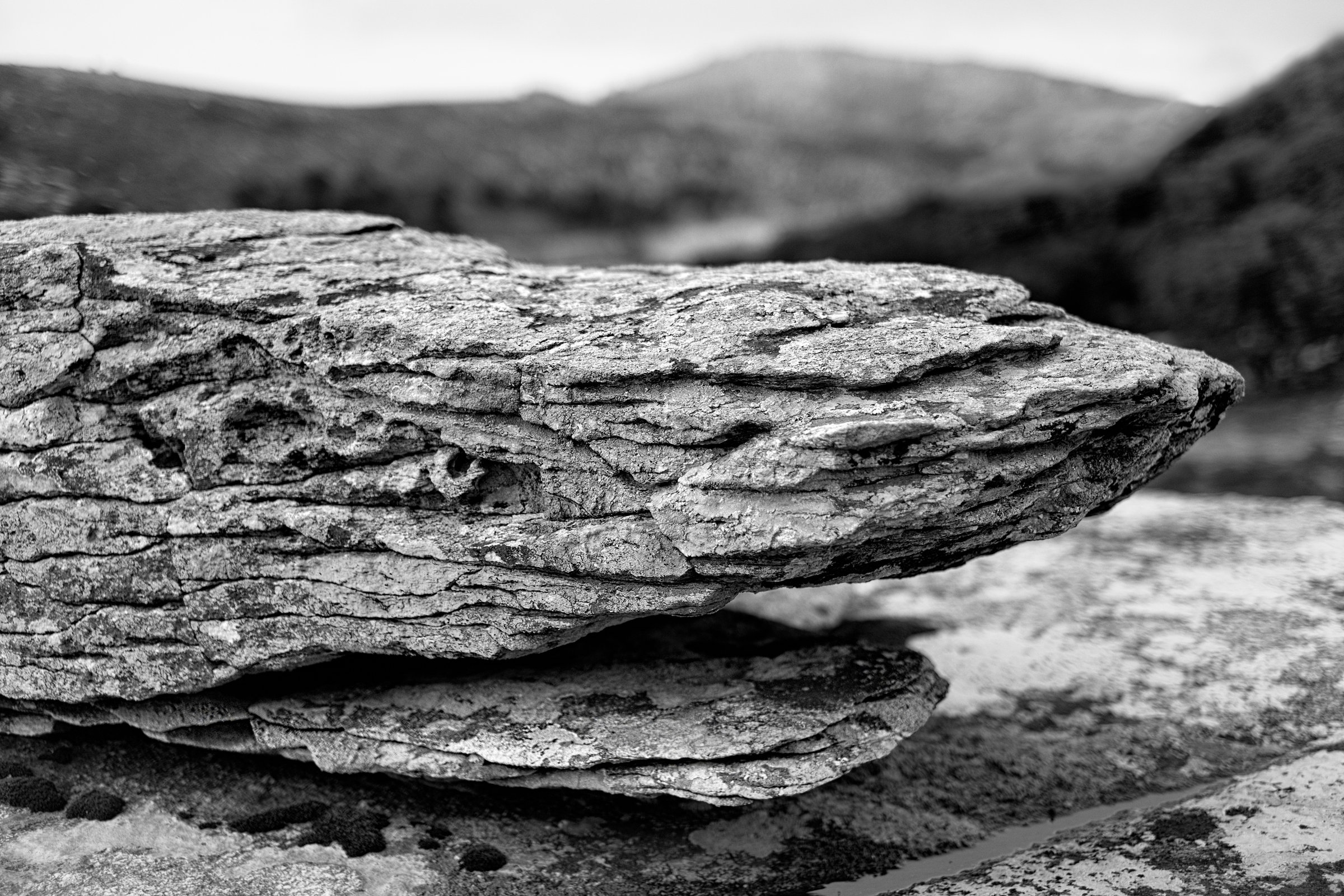 Photograph 17