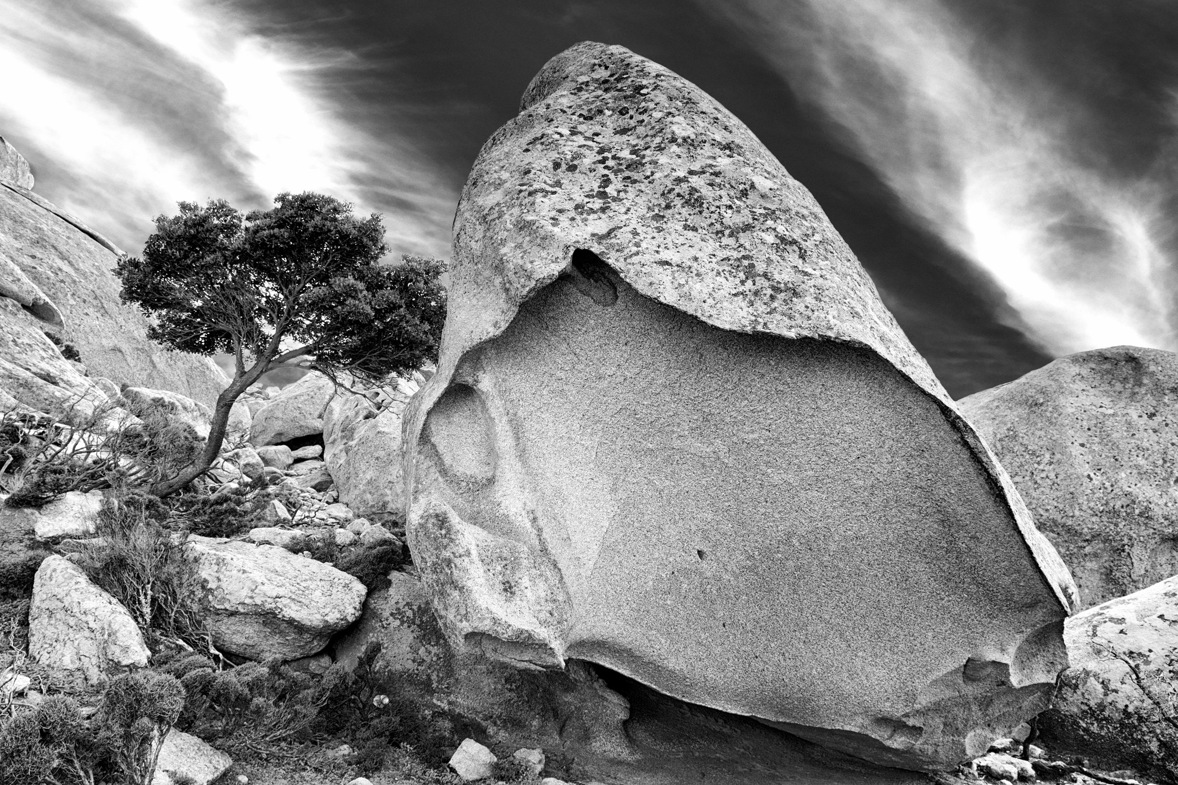 Photograph 20