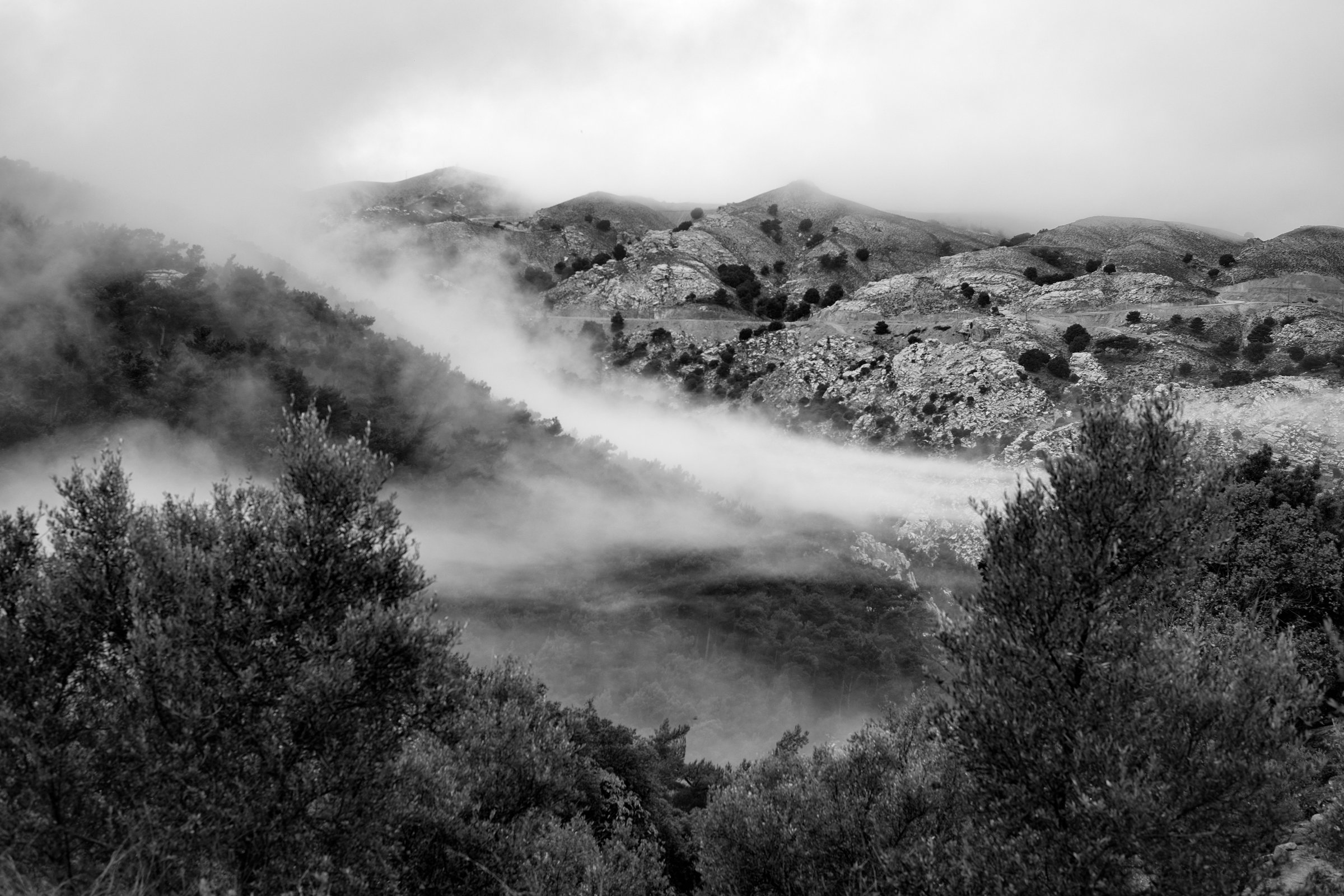 Photograph 25
